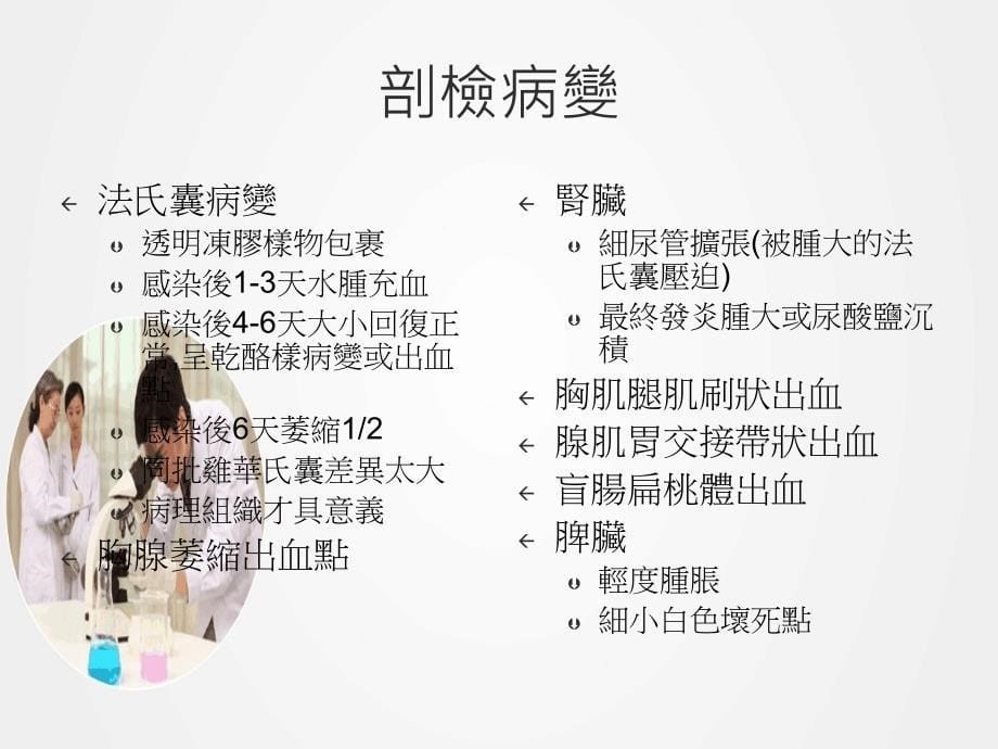 《传染性法氏囊炎》ppt.ppt_第5页