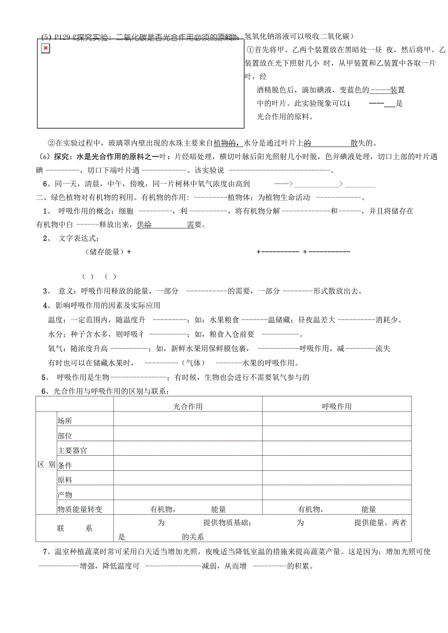 植物的光合作用与呼吸作用_第3页