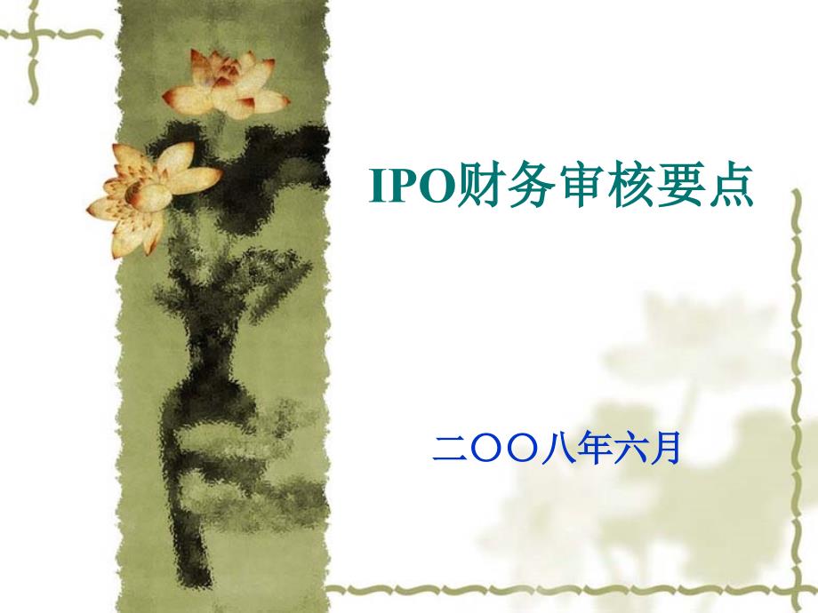 IPO财务审核要点_第1页