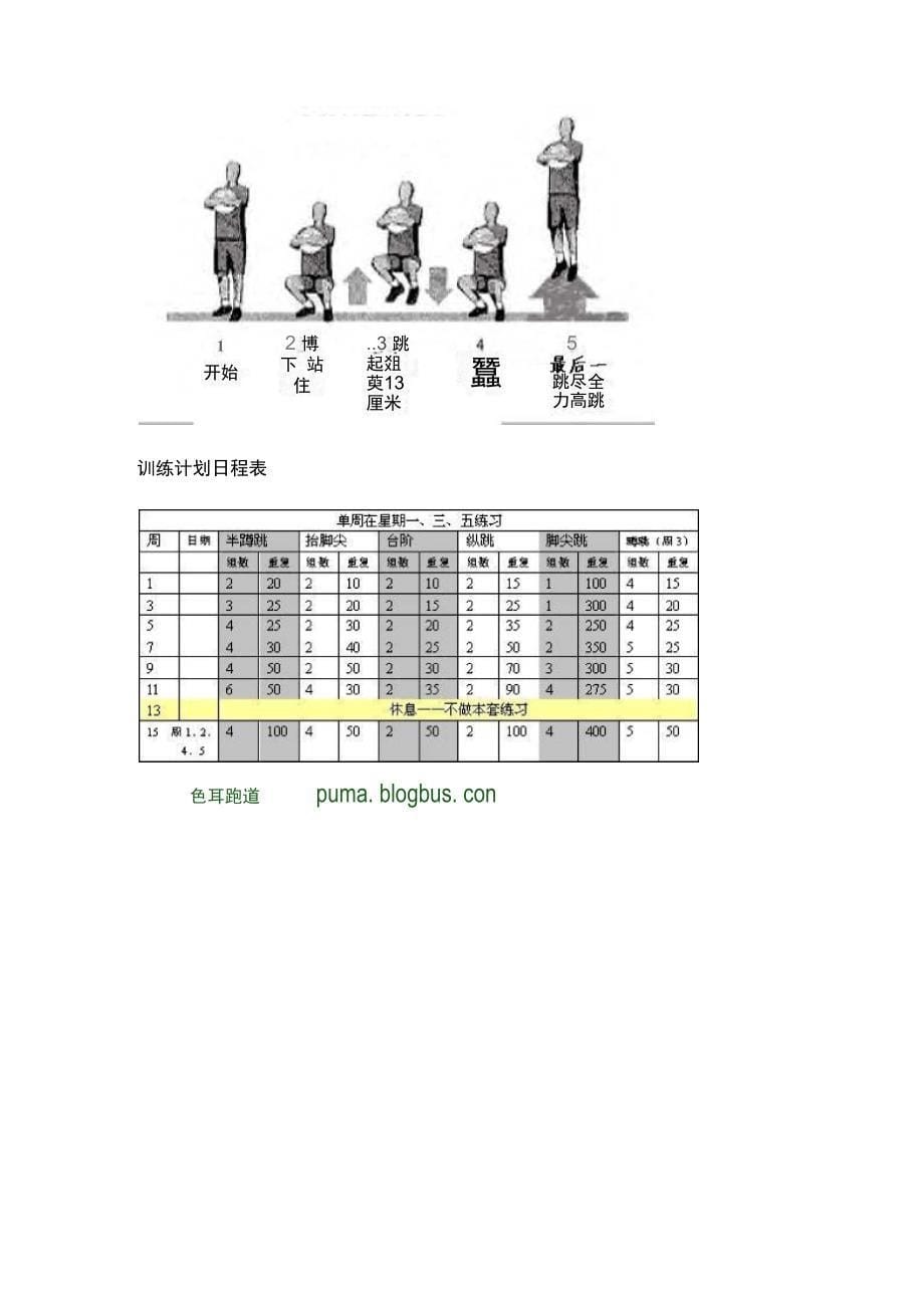 弹跳力训练方法_第5页