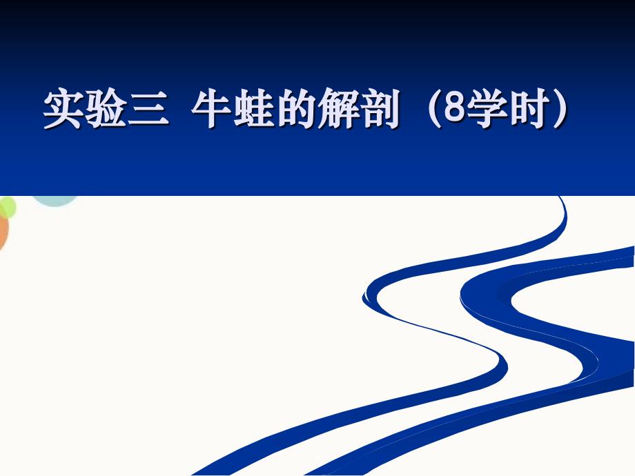 实验三牛蛙的解剖_第1页