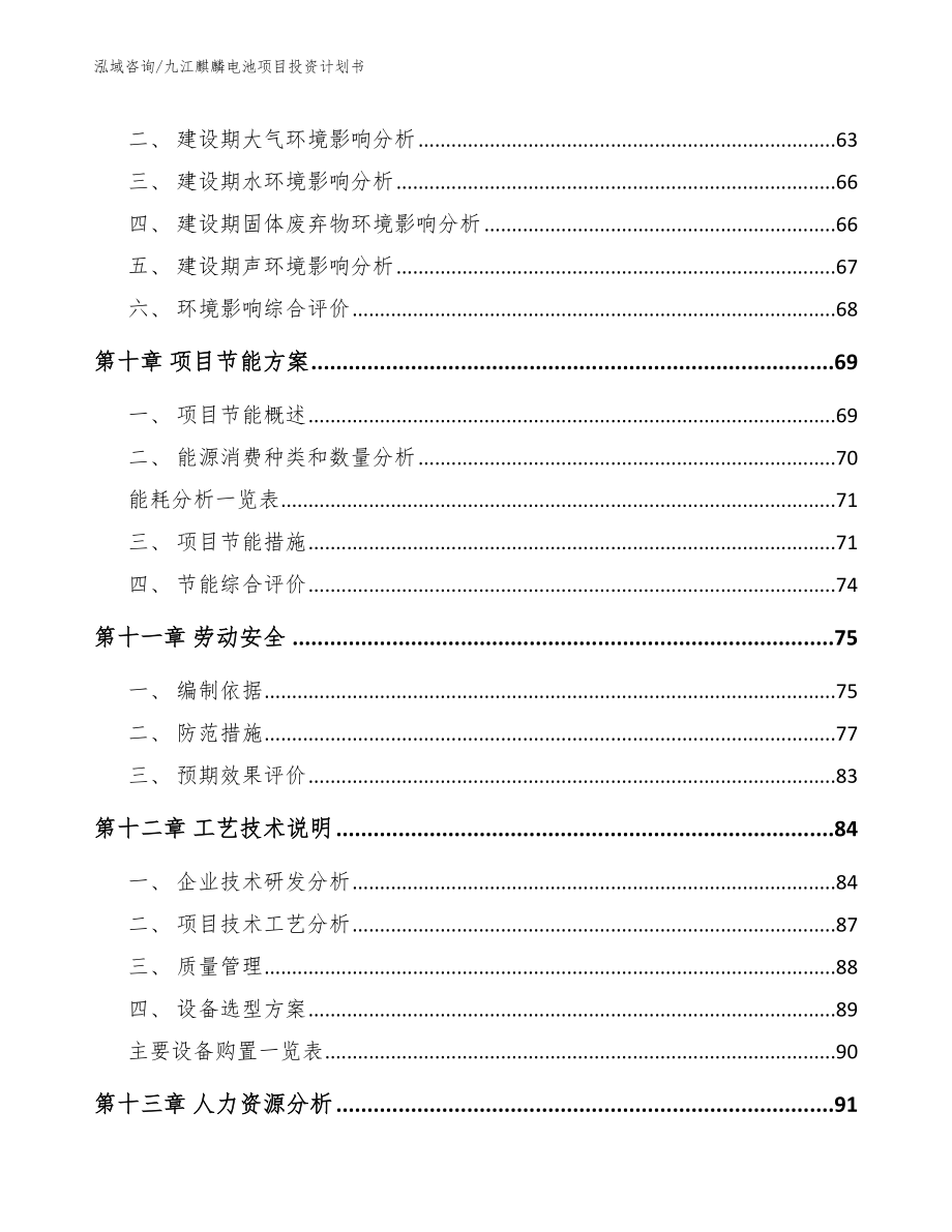 九江麒麟电池项目投资计划书【模板范本】_第4页