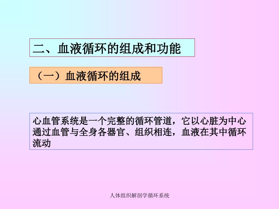 人体组织解剖学循环系统课件_第4页