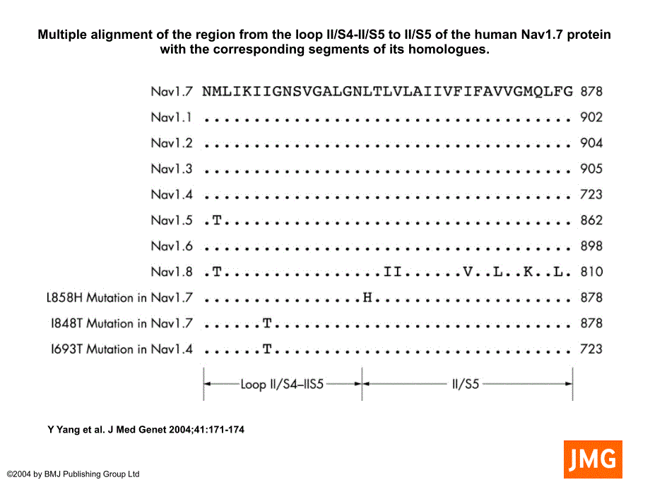 MultiplealignmentoftheregionfromtheloopIIS4IIS5toIIS5_第1页