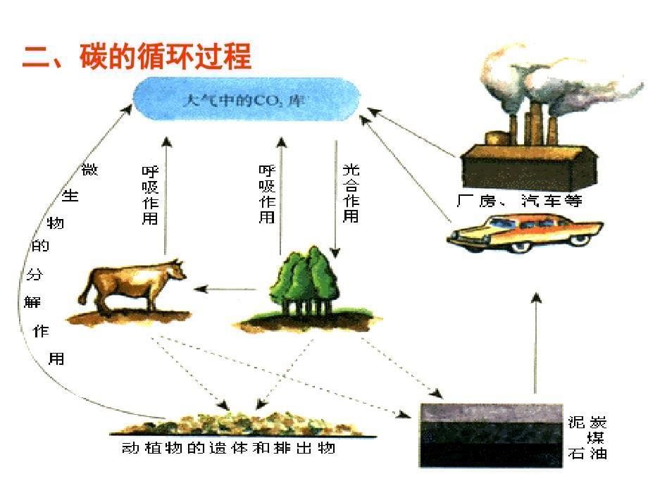 《生态系统的物质循环》课件(_第5页