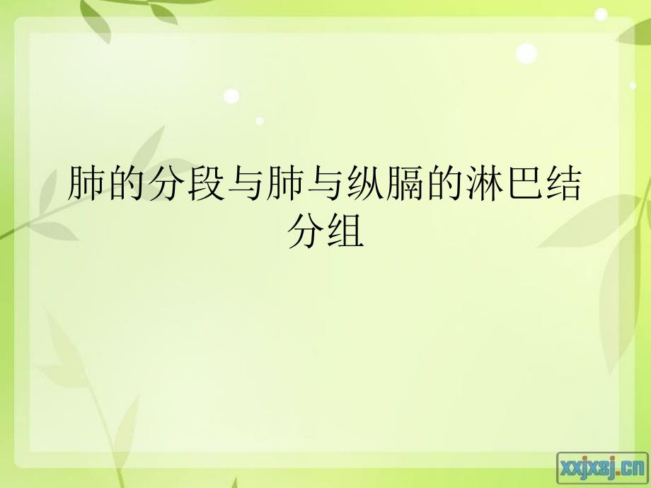 肺的分段与肺与纵膈的淋巴结分组 ppt课件_第1页