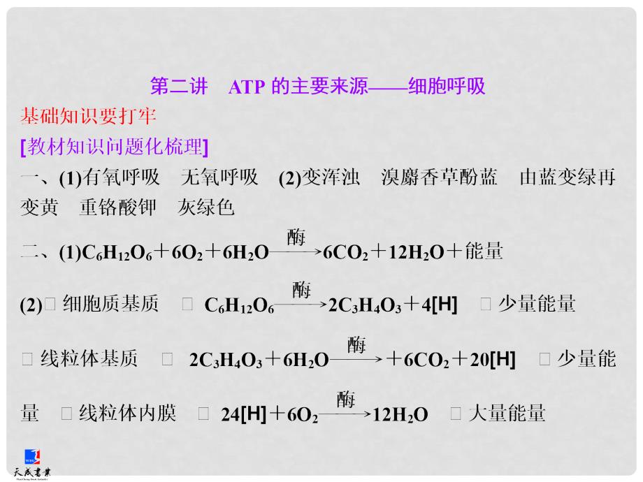 高考生物一轮复习 第三单元 第二讲 ATP的主要来源 细胞呼吸课件 新人教版必修1_第1页