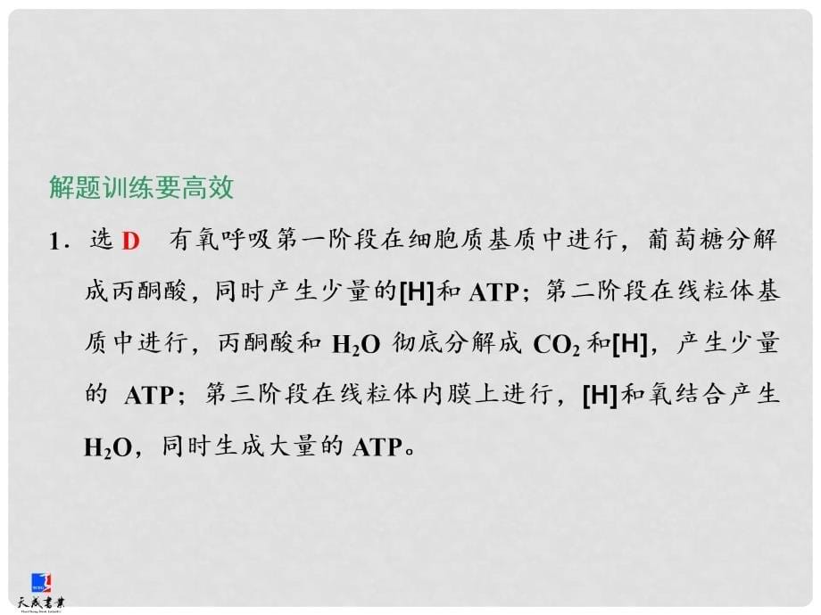 高考生物一轮复习 第三单元 第二讲 ATP的主要来源 细胞呼吸课件 新人教版必修1_第5页