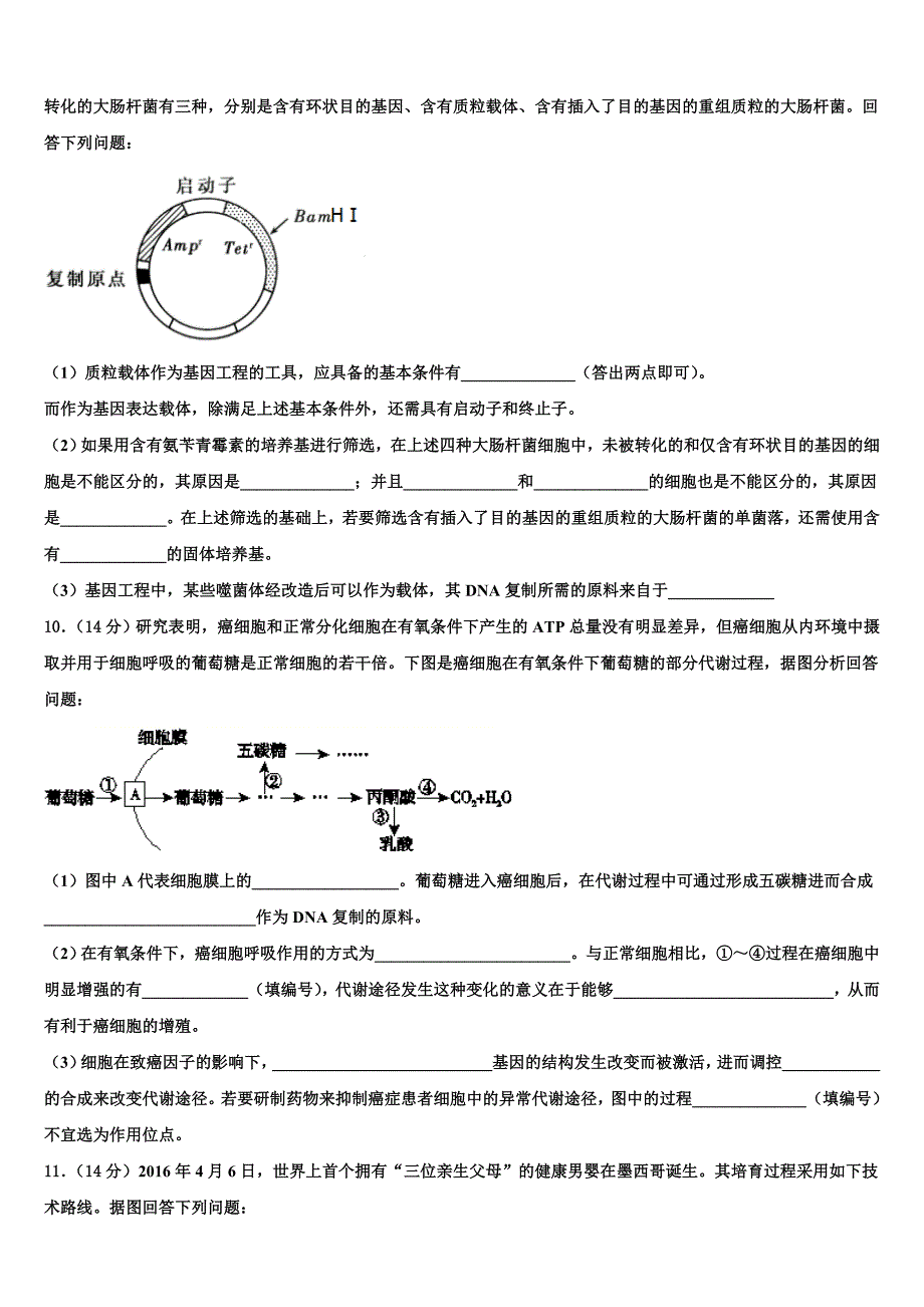 2023年江苏省苏州市震泽中学生物高二第二学期期末综合测试试题（含解析）.doc_第3页