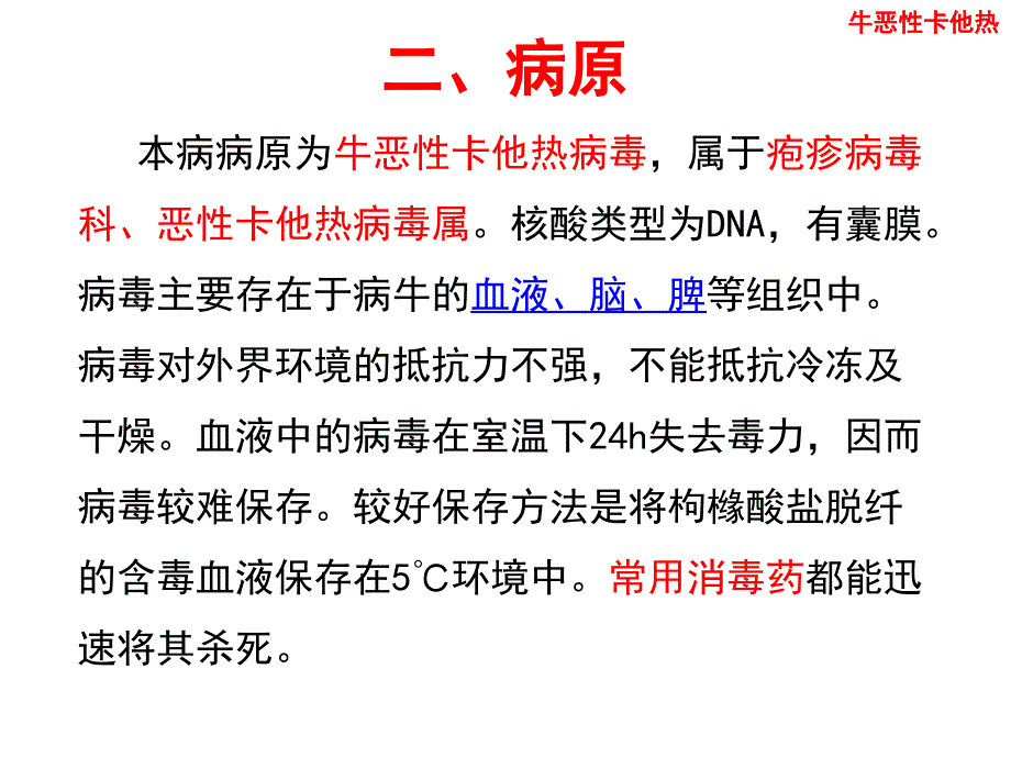 牛恶性卡他热_第4页