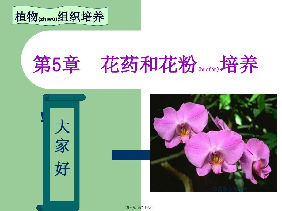 花药和花粉培养课件_第1页