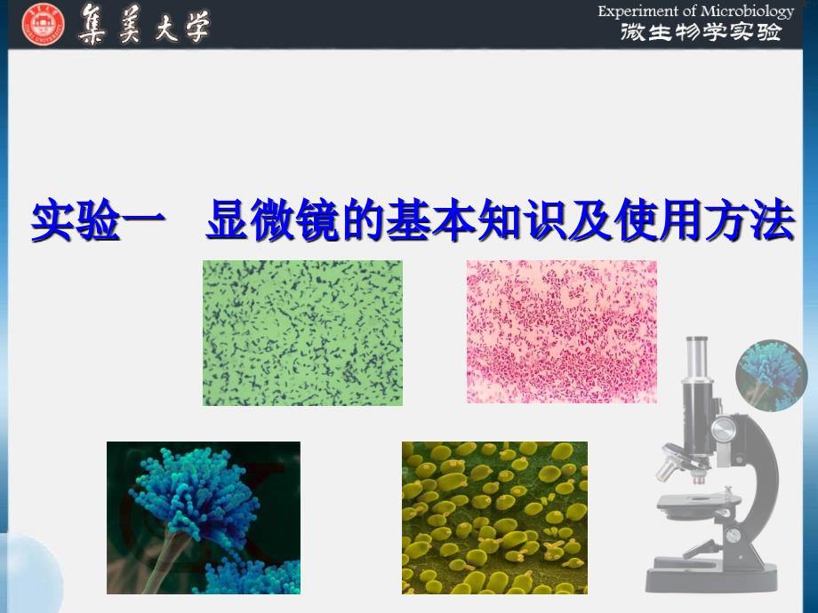实验一 显微镜的基本知识与使用_第1页