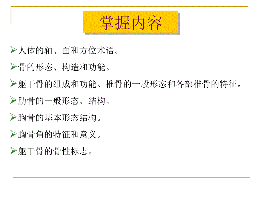 系统解剖学：绪论、骨学总论、躯干骨_第1页