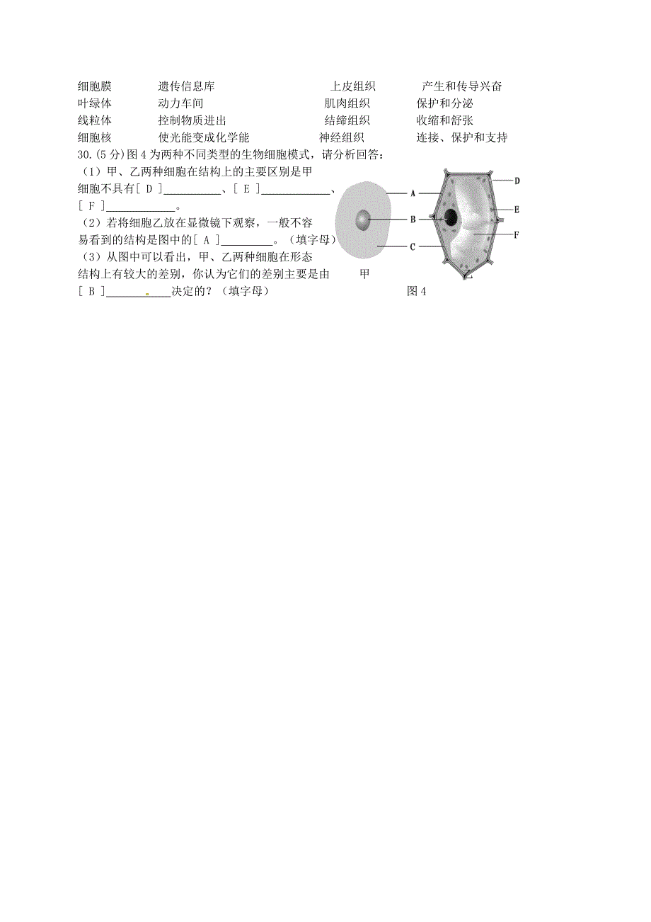 湖北省宜城市小河镇朱市第一初级中学2015-2016学年七年级生物上学期期中试题新人教版_第3页