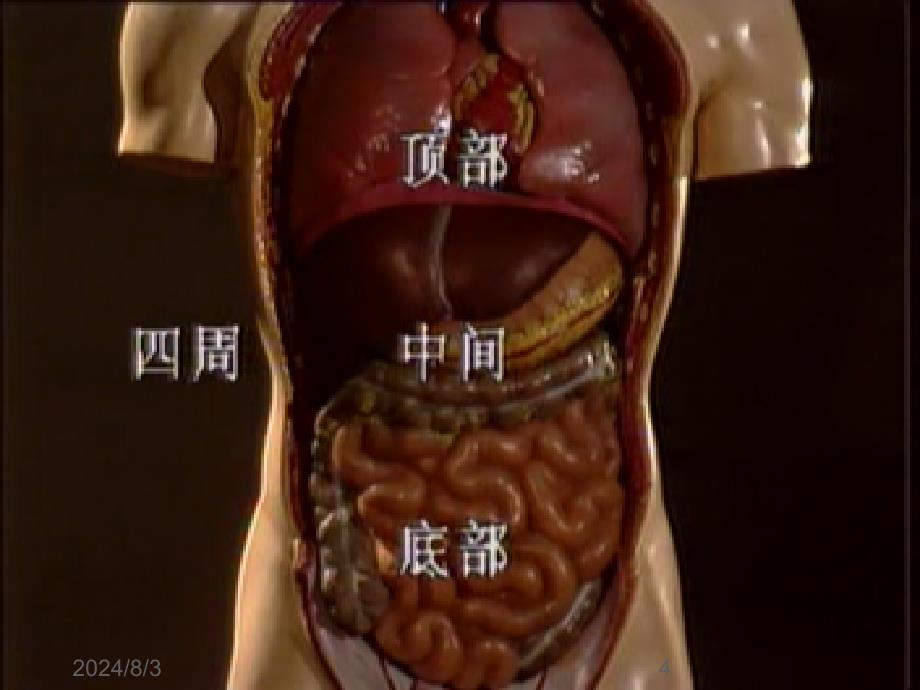 《健康评估腹部》PPT课件_第4页