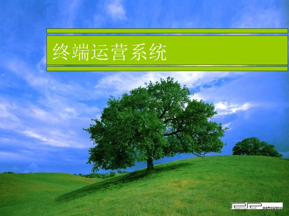 国际SEC多店运营盈利系统概述_第1页