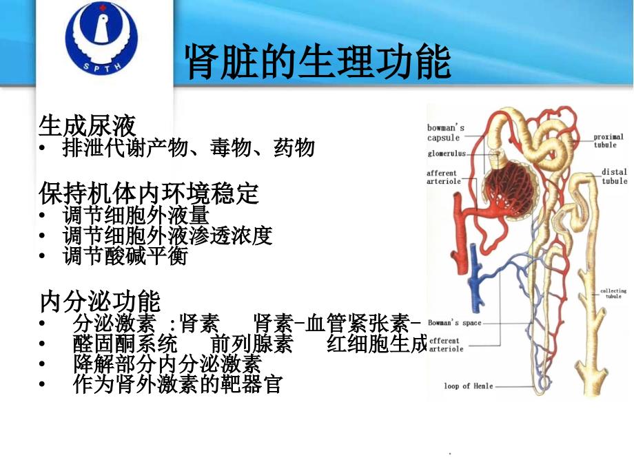 第十七章肾功能检查_第2页