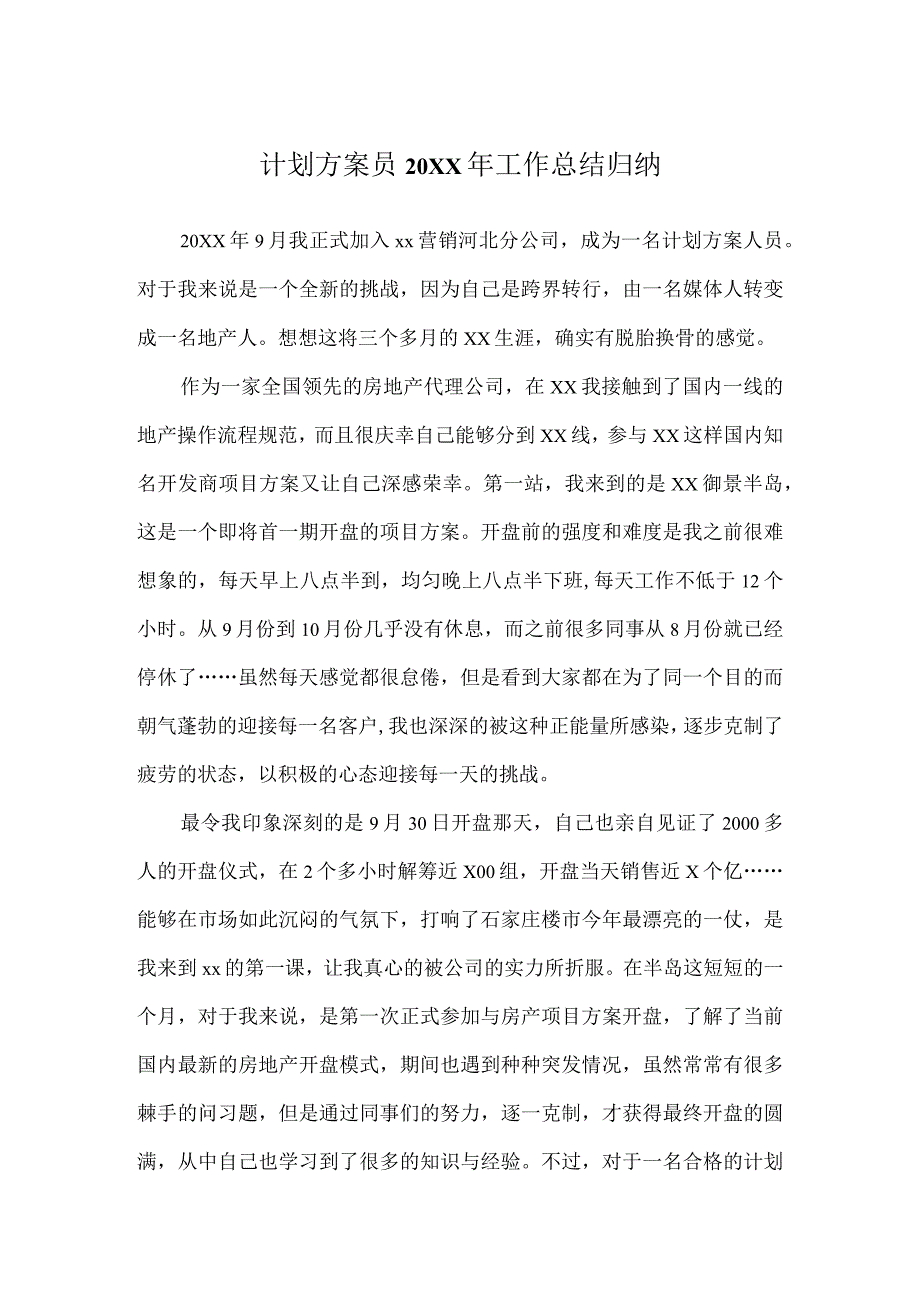 计划方案员20XX年工作总结归纳_第1页