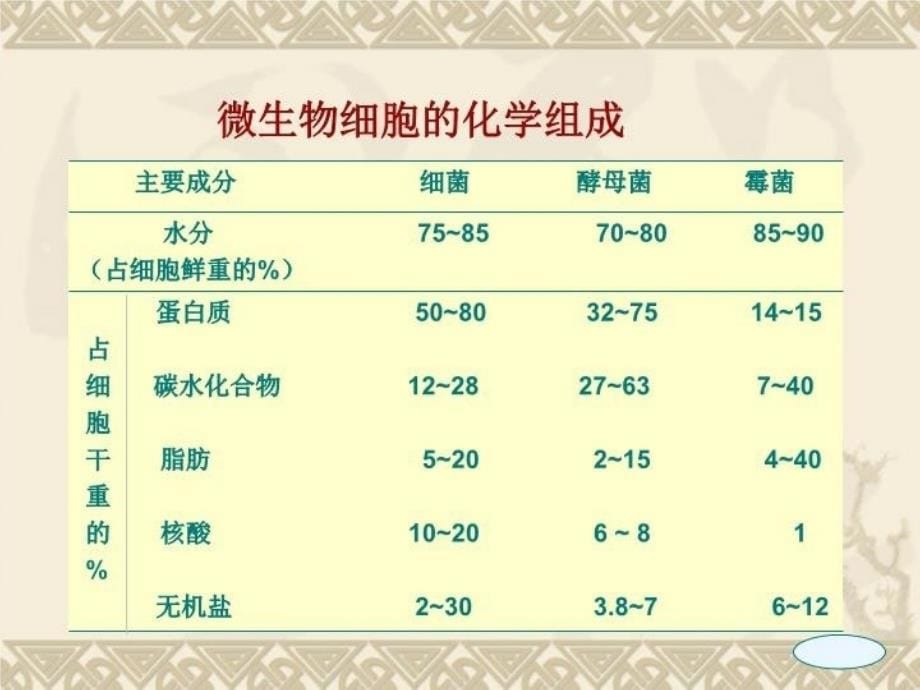 最新微生物学营养PPT课件_第5页