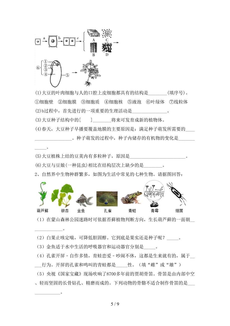 冀教版九年级生物上册期末考试【参考答案】.doc_第5页