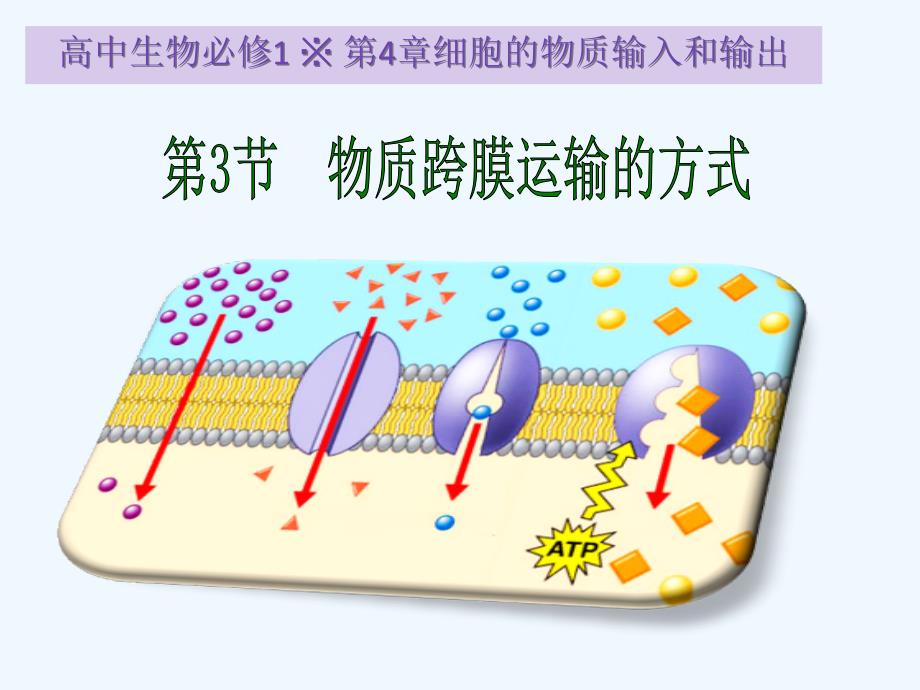 生物必修课堂教学课件物质跨膜运输的方式_第1页