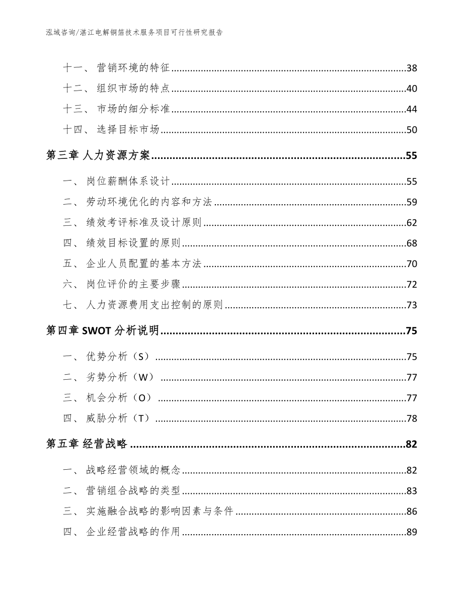 湛江电解铜箔技术服务项目可行性研究报告范文模板_第2页