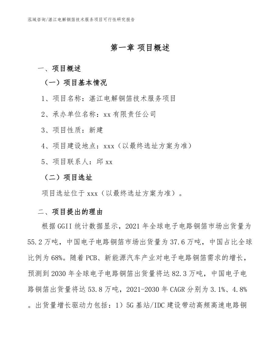 湛江电解铜箔技术服务项目可行性研究报告范文模板_第5页