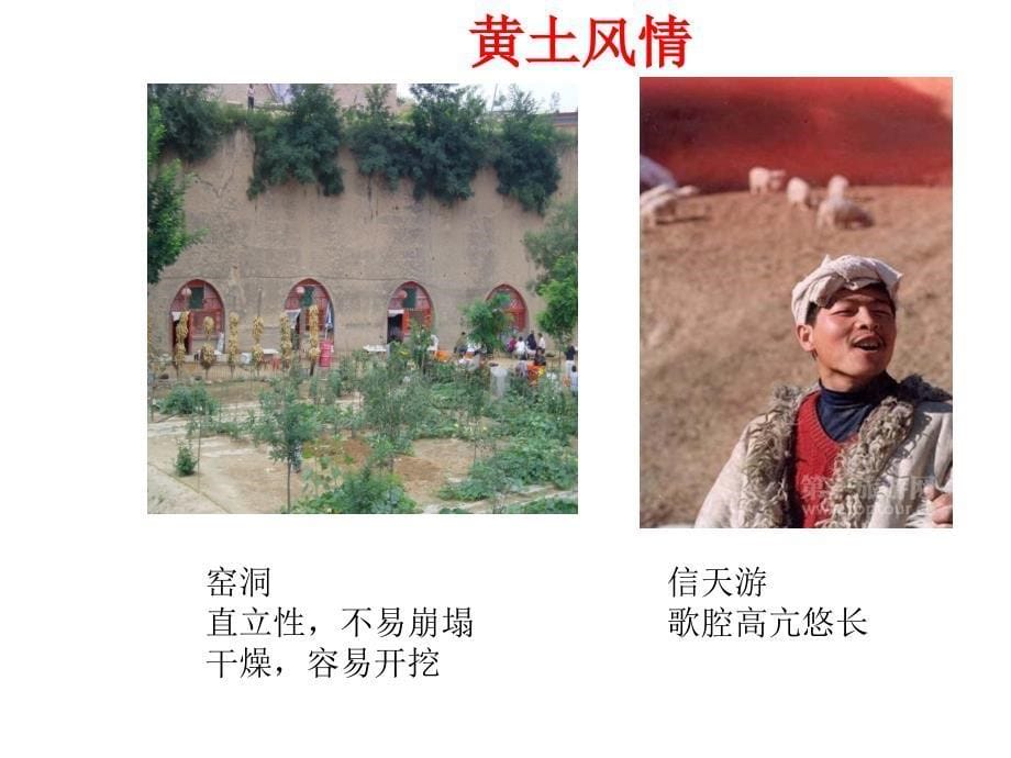 新人教版八年级地理下册63_世界最大的黄土堆积区—黄土高原的新课教学课件_第5页