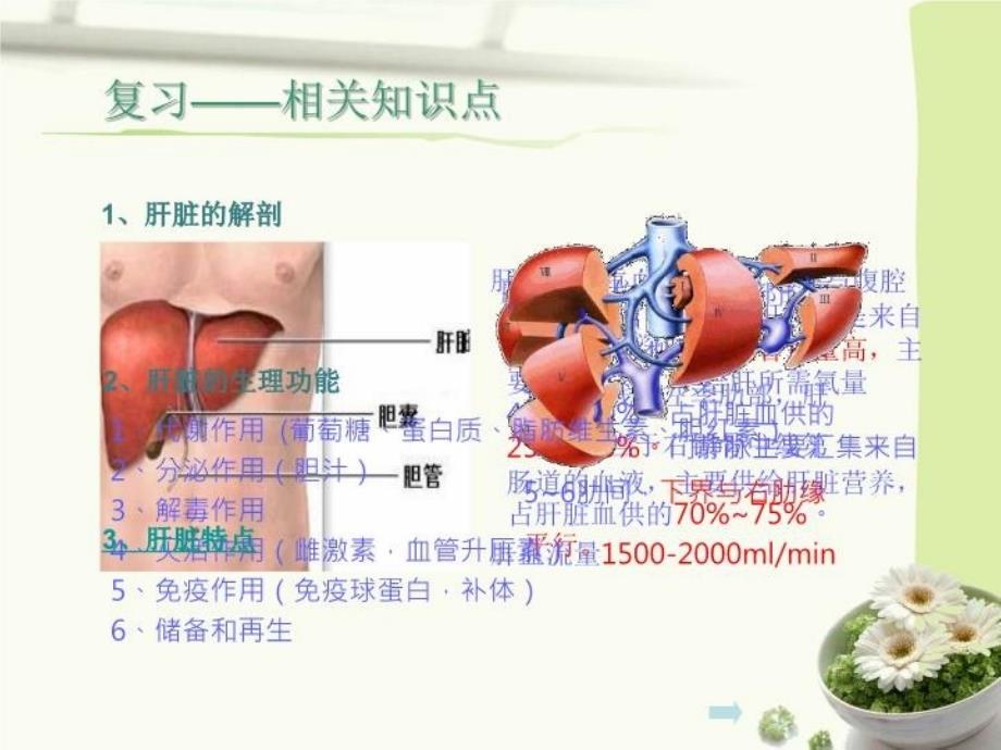 原发性肝癌的护理88669教学内容_第4页