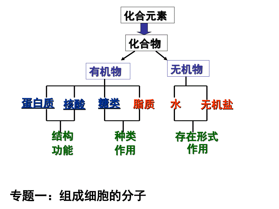 专题一、组成细胞的分子（正式） (2)_第1页