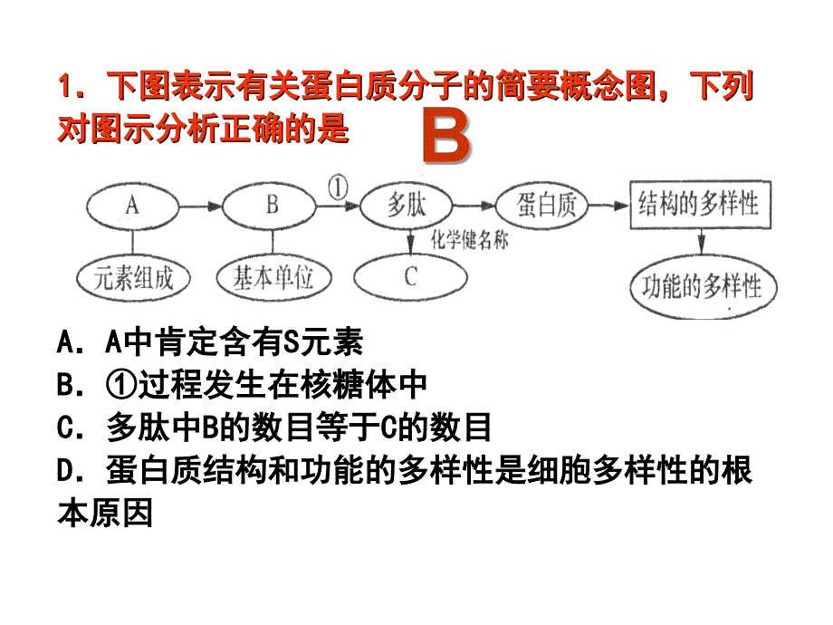 专题一、组成细胞的分子（正式） (2)_第2页