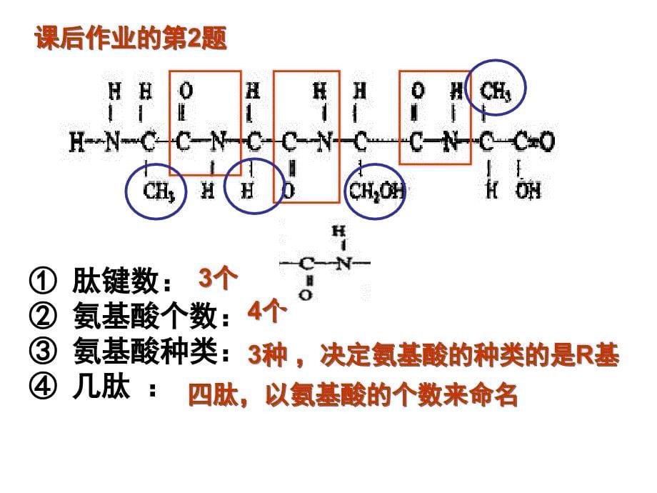 专题一、组成细胞的分子（正式） (2)_第5页