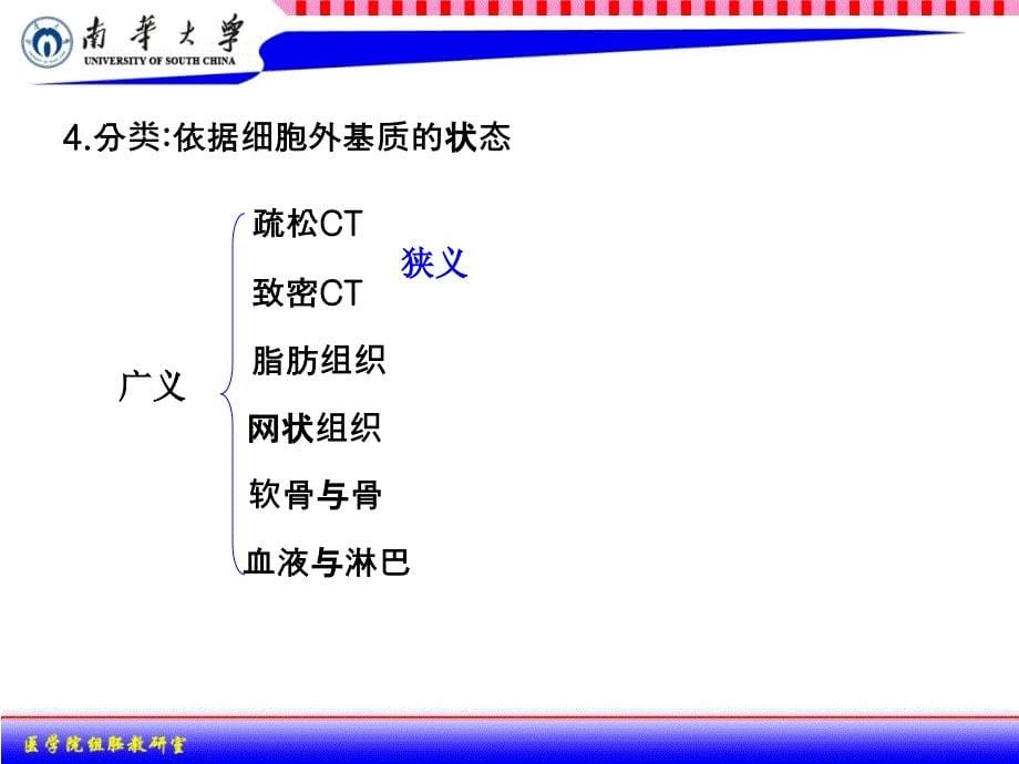 组织学与胚胎学：03结缔组织_第5页