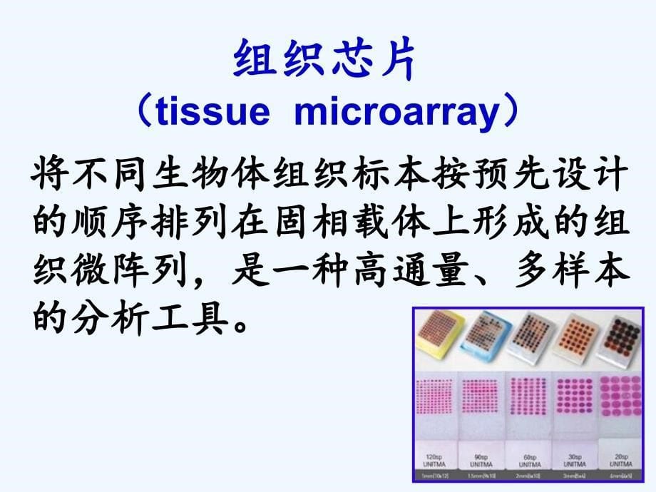 第六章常用分子生物学技术RNA干扰技术_第5页