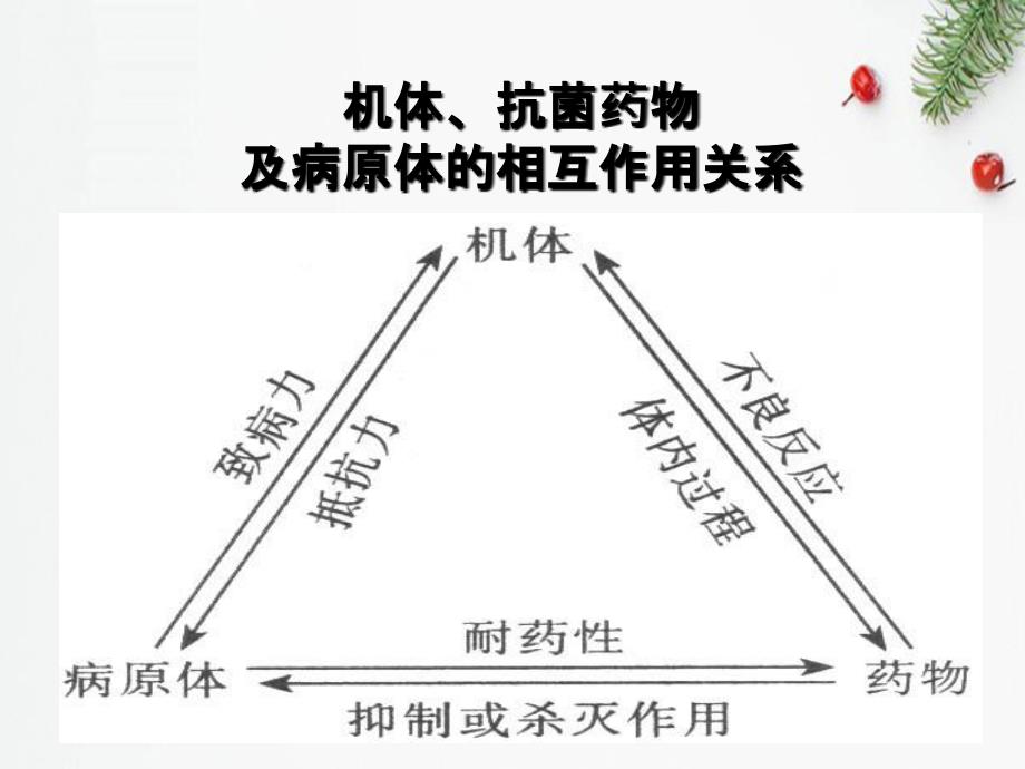 抗菌药物概论Introductiontoantibacterialdrugs_第3页