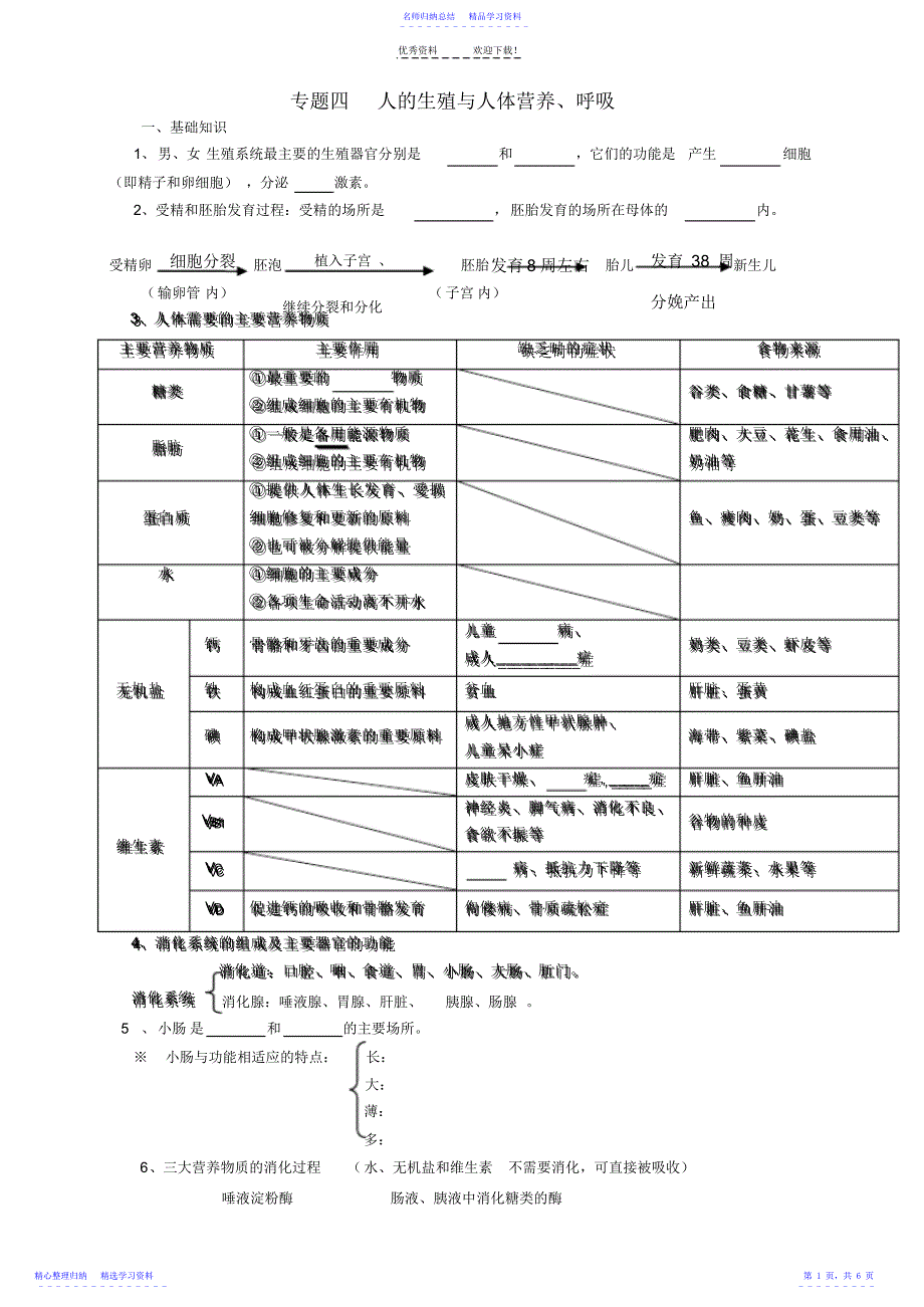 2022年七年级生物《专题四--人的生殖与人体营养、呼吸》学案_第1页