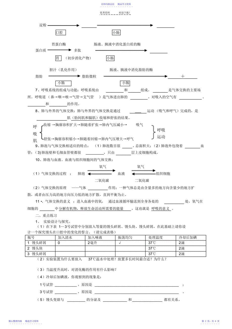 2022年七年级生物《专题四--人的生殖与人体营养、呼吸》学案_第2页