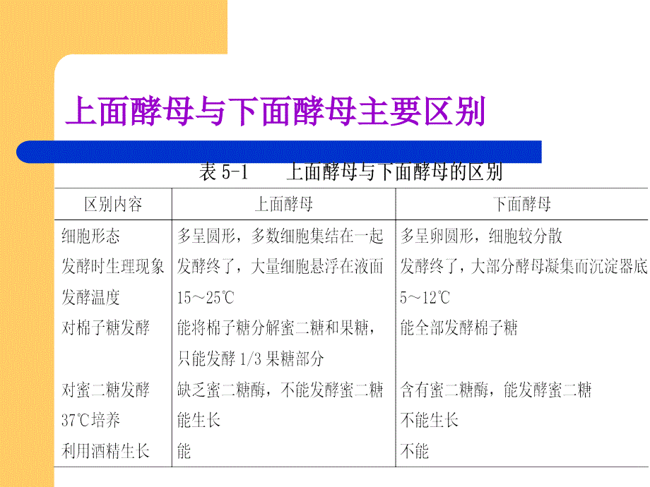 啤酒生产技术第五章啤酒发酵_第3页