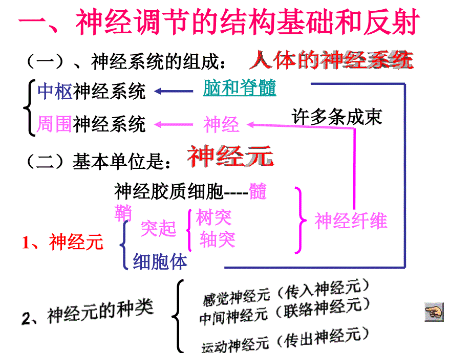 第2章第1节通过通过神系统的经调节_第2页