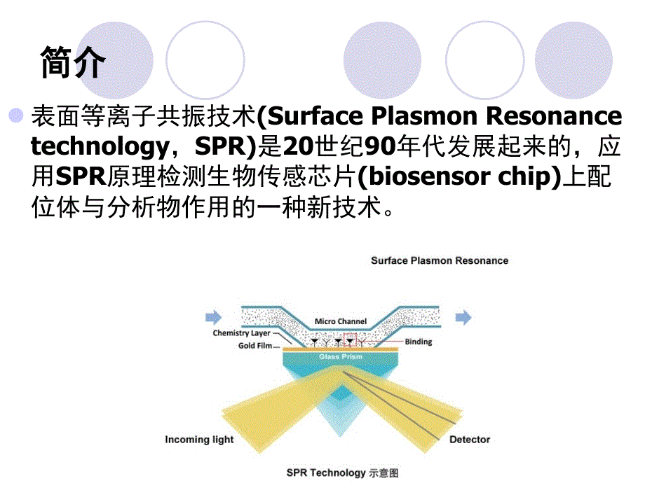 表面等离子体共振ppt课件_第2页