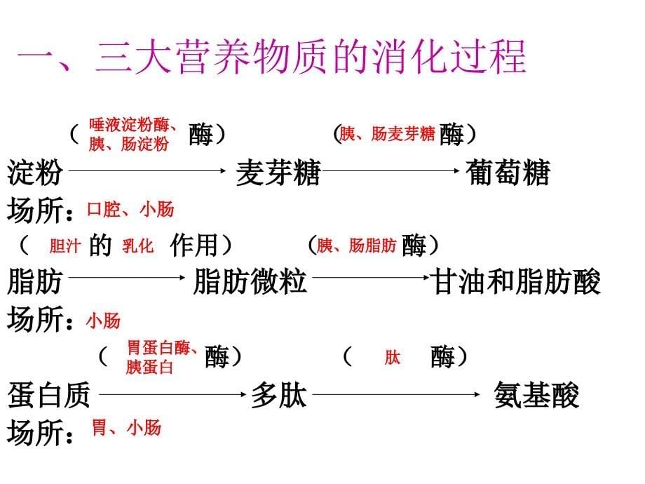 人和动物体内三大营养物质的代谢_第5页