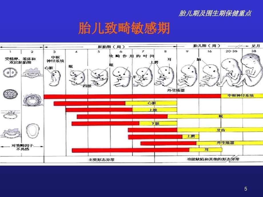 儿科学31儿童保健原则课件_第5页