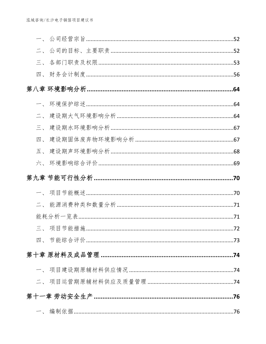 长沙电子铜箔项目建议书（范文参考）_第3页