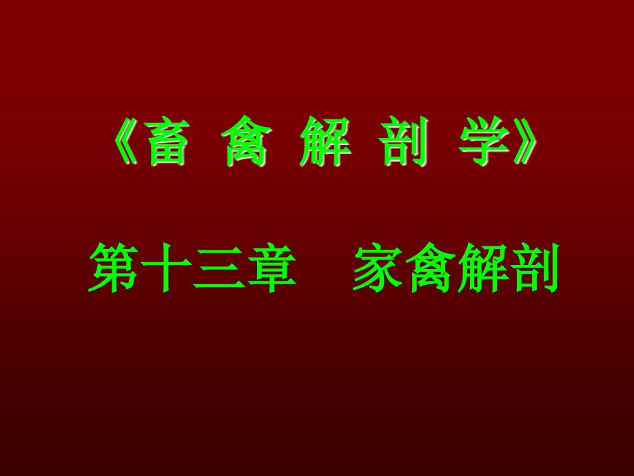 家禽解剖课件.ppt_第1页