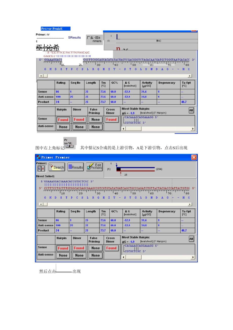 primer50已知基因序列设计引物_第2页
