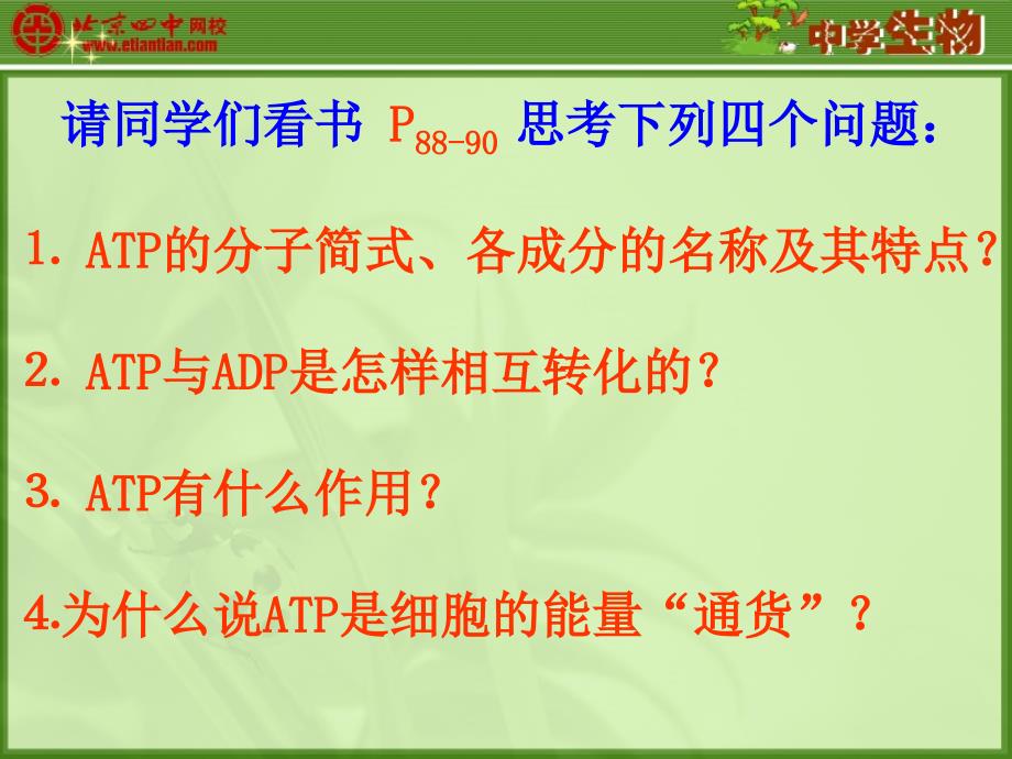 细胞中的能量供应和利用_第3页