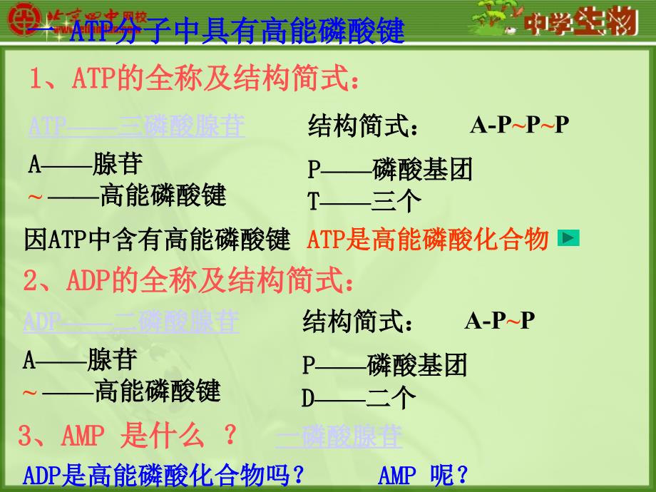 细胞中的能量供应和利用_第4页