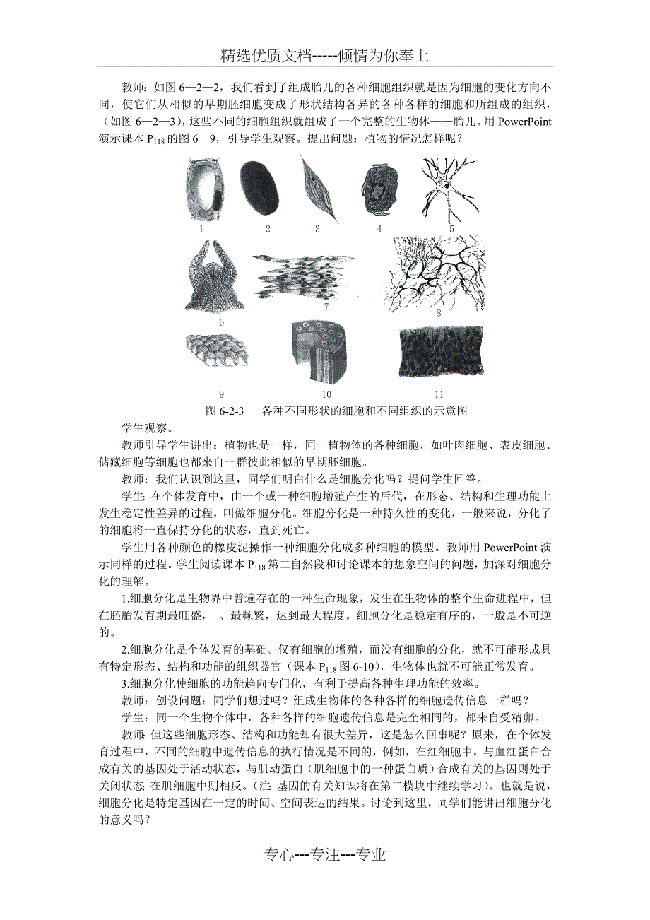 (人教版)生物必修一：6-2《细胞的分化》示范教案_第4页