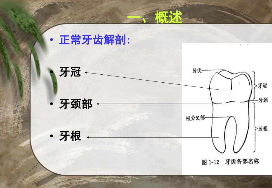 龋病和龋病预防课件_第3页