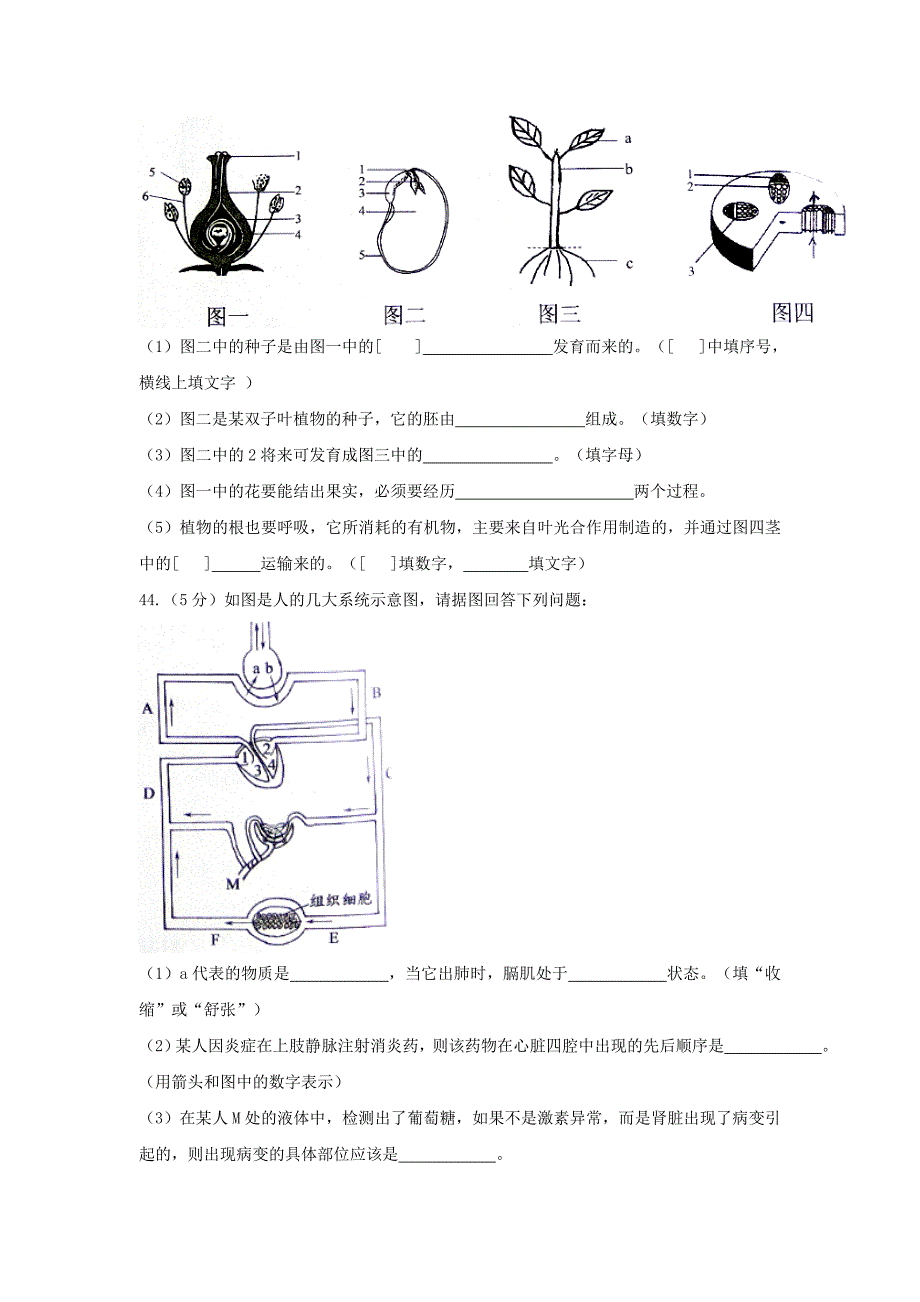 2017湖北随州中考生物试卷.doc_第4页